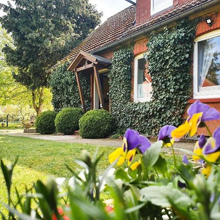 Am Alten Haus Altenmedingen Ngoại thất bức ảnh