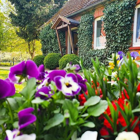 Am Alten Haus Altenmedingen Ngoại thất bức ảnh