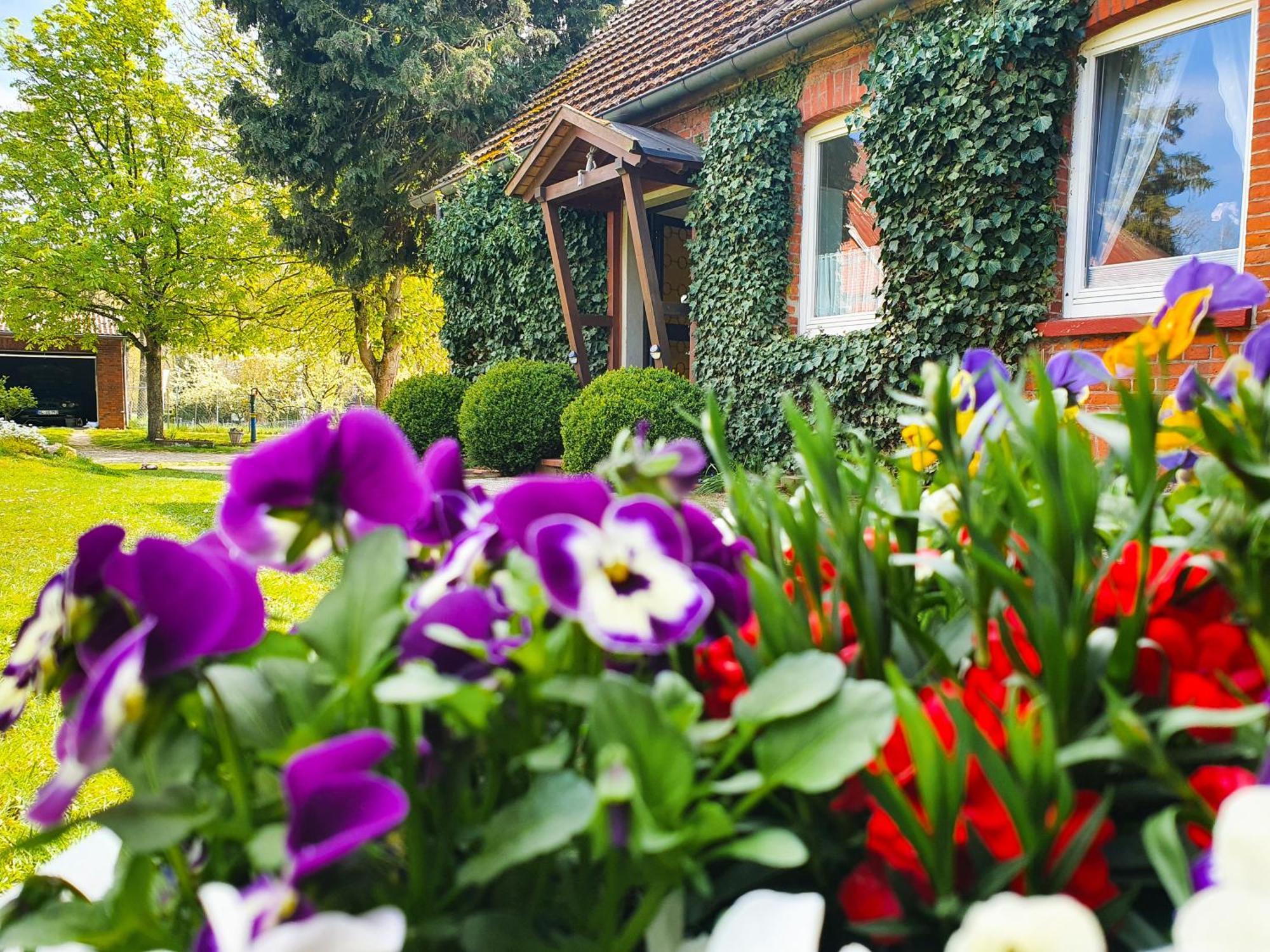 Am Alten Haus Altenmedingen Ngoại thất bức ảnh
